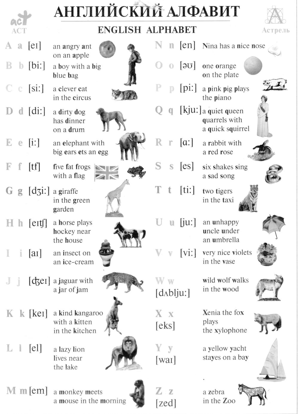 Цирк на английском произношение. Животные по английски как читаются. Английский язык 2 класс животные произношение. Транскрипция английских слов Ink. Слова по английски животные с переводом.