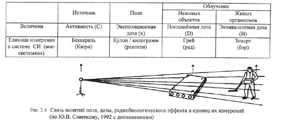 Схема облучения фотария