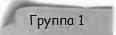 Группа 1