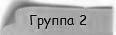 Группа 2